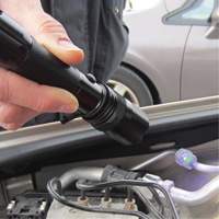 Rechargeable UV Flashlight WestPier