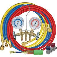 Manifold Gauge Set with Manual Couplers & Mini Dye Injector WestPier