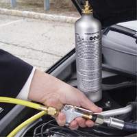 A/C System Flush Kit WestPier