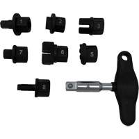 8 Pc. Oil Drain Plug Kit WestPier