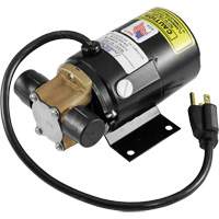 Low Profile Truck Drain with Electric Pump WestPier