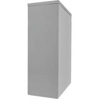 Counter-High Storage Cabinet, Steel, 2 Shelves, 42" H x 48" W x 24" D, Grey WestPier
