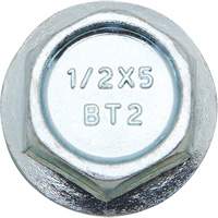 Wedge Bolts, Carbon Steel, 1/2" x 2" WestPier