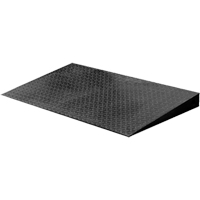 VN Series Economical Floor Scales - Ramp WestPier