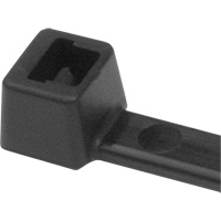 Attaches de c&acirc;ble PA66, Longueur 5-1/2", R&eacute;sistance &agrave; la traction 18 lb, Noir WestPier