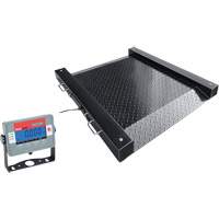 DEFENDER Drum Scale, 2500 lbs. Capacity, 30" W x 30" L WestPier