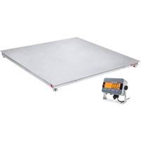 DEFENDER 3000 Floor Scale, 2500 lbs. Capacity, 48" W x 48" L WestPier
