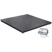 DEFENDER 5000 Floor Scale, 2500 lbs. Capacity, 48" W x 48" L WestPier