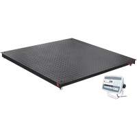DEFENDER 5000 Floor Scale, 5000 lbs. Capacity, 48" W x 48" L WestPier