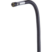 VS80 Dual HD Camera Probe WestPier