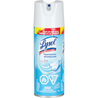 Disinfectant Spray, Aerosol Can JA913 | WestPier