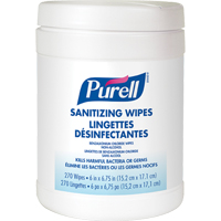 Hand Sanitizing Wipes, Canister JD602 | WestPier