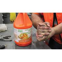 Orange Hand Cleaner, Pumice, 3.6 L, Jug, Orange JG223 | WestPier