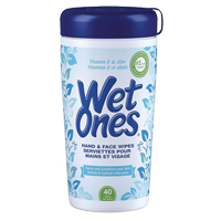Sanitizing Wipes, Canister JH774 | WestPier