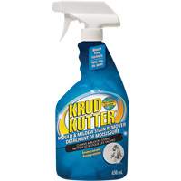 Mold and Mildew Spray, 650 ml, Trigger Bottle WestPier