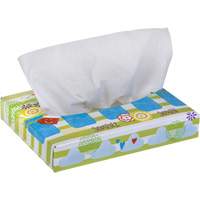 Kleenex<sup>®</sup> Junior Facial Tissues, 2 Ply, 8.4" L x 5.5" W, 40 Sheets/Box JL930 | WestPier