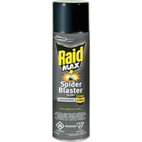Raid<sup>®</sup> Max<sup>®</sup> Spider Blaster Bug Killer Insecticide, 500 g, Aerosol Can, Solvent Base JM270 | WestPier