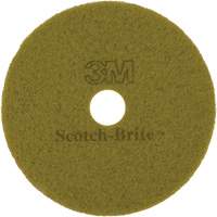 Tampon pour planchers TopLine Speed, 17", Brunissage, Brun WestPier