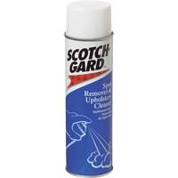 Carpet Spot Remover and Upholstery Cleaner, 17 oz., Aerosol Can WestPier