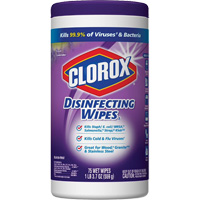 Disinfecting Wipes, 75 Count JO235 | WestPier