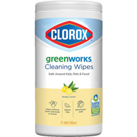 GreenWorks™ Cleaning Wipes, 75 Wipes JP569 | WestPier