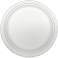 Molded Fiber Disposable Plates WestPier