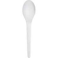 Plantware Renewable and Compostable Spoon WestPier