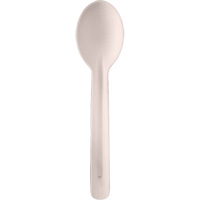 Bagasse Compostable Spoons JQ132 | WestPier