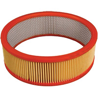 Antimicrobial Vacuum Secondary Filter, Hepa WestPier