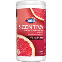 Lingettes d&eacute;sinfectantes, 75 lingettes WestPier