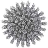 HyDrive Round Drill Brush, Extra Stiff Bristles, 3-1/10" Long, White WestPier