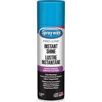 Brillant instantan&eacute; Pro Line pour surfaces en plastique, 11 oz, Canette a&eacute;rosol WestPier