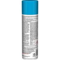 Brillant instantan&eacute; Pro Line pour surfaces en plastique, 11 oz, Canette a&eacute;rosol WestPier
