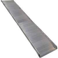 Rampe de promenade en aluminium, Capacité de 1000 lb, 38" la x 193-1/8" lo KI260 | WestPier