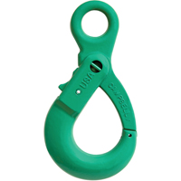 Alloy Steel Eye-Type Self-Locking Hooks WestPier