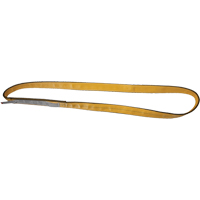 Polyester Slings, Single Ply, Endless, Type 5, 2" W x 3' L, 6200 lbs. Vertical Cap. WestPier
