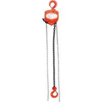 Chain Hoist, 10' Lift, 6000 lbs. (3 tons) Capacity, Alloy Steel Chain LW571 | WestPier