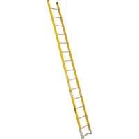 Single Section Straight Ladder - 6100 Series, 14', Fibreglass, 375 lbs., CSA Grade 1AA WestPier