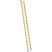 Single Section Straight Ladder - 6100 Series, 16', Fibreglass, 375 lbs., CSA Grade 1AA WestPier