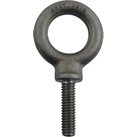 Alloy Steel Eye Bolt, 1" Dia., 1-1/4" L, 1480 lbs. (0.74 tons)/1480 lbs. Capacity WestPier