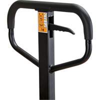 Manual Pallet Truck, Steel, 48" L x 21" W, 5500 lbs. Capacity WestPier