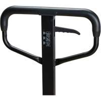 Steel Wheel Pallet Truck, Steel, 48" L x 27" W, 5500 lbs. Capacity WestPier