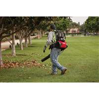 M18 FUEL Dual Battery Backpack Blower Kit, 18 V, 155 MPH Output, Battery Powered WestPier