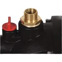 AQUINNA Cordless Water Pump (Tool Only), 36 V, 792 GPH WestPier