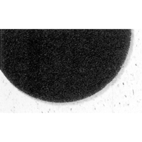 7300 Pro-Strip Pads, 17", Stripping, Black WestPier