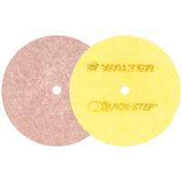 Disques de polissage instantan&eacute; Quick-Step, 5" dia. WestPier