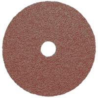 Resin Fibre Sanding Disc, Aluminum Oxide, A16, 5" Dia x 7/8" Arbor WestPier