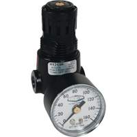 R&eacute;gulateur miniature R04 Wilkerson, 1/4" NPT, PSI max. de 300 psi, Standard WestPier