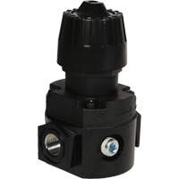R&eacute;gulateur compact R16 Wilkerson, 1/4" NPT, PSI max. de 300 psi, Standard WestPier