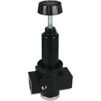 R&eacute;gulateur &agrave; d&eacute;bit &eacute;lev&eacute; R30 Wilkerson, 3/4" NPT, PSI max. de 300 psi, Standard WestPier